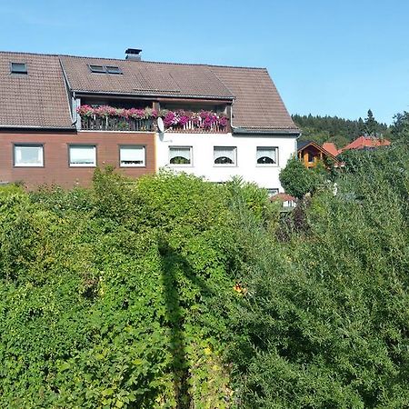 Apartment Bodeweg Schierke Kültér fotó